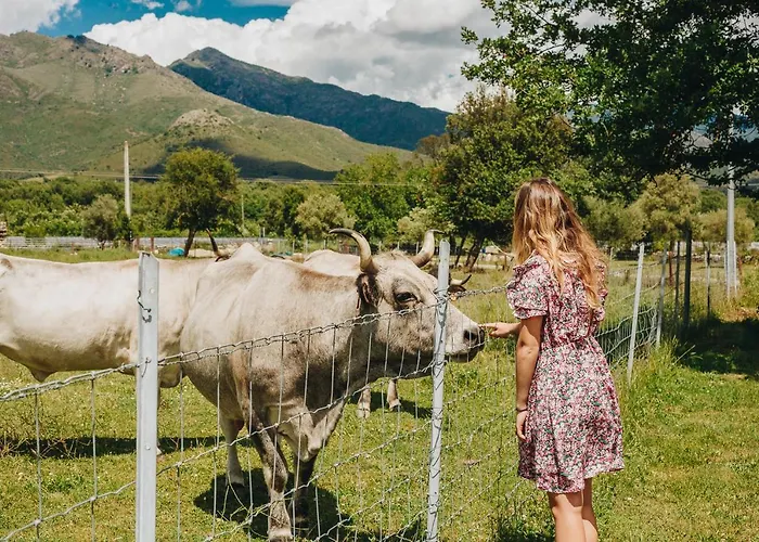 Bed and breakfast A Chjusellina Corte (Corsica)