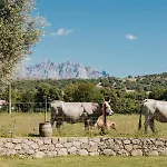 A Chjusellina