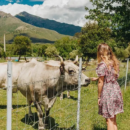 Alojamento de Acomodação e Pequeno-almoço A Chjusellina Corte (Corsica)