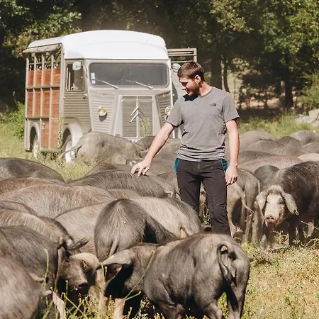 A Chjusellina Panzió