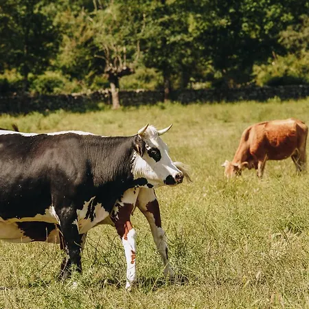 A Chjusellina Bed and Breakfast