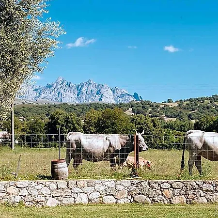 Bed & Breakfast A Chjusellina Corte (Corsica)