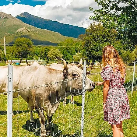Bed & Breakfast A Chjusellina Corte (Corsica)