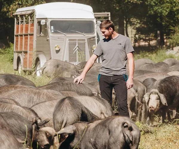 A Chjusellina Bed & Breakfast