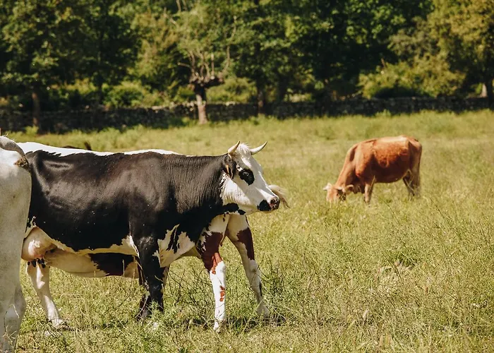 A Chjusellina Bed & Breakfast
